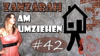 Zanzarah am Umziehen 42 Laminatlieferung in 3 Minuten Vlog [upl. by Meter647]