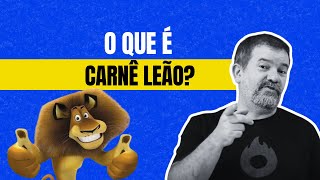 O que é carnê leão [upl. by Ahsiekel211]