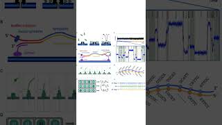 What is Oxford Nanopore Technology ONT sequencing [upl. by Atsirk]