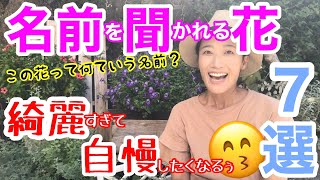 【宿根草・一年草】育てていると必ず「この花何〜？」と名前を聞かれる花７選🤗  誰もが知っている花も、大満開時に必ず問い合わせが来ます❗️ レアな品種あり  オシャレ樹木も【ガーデニング】 [upl. by Brouwer]