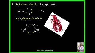 1 Double saltComplex saltCentral metal atom or ionLigandMonodentateBidentate [upl. by Aelak]