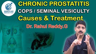 Chronic ProstatitisCPPS Seminal VesiculitisCauses And Treatment Dr Rahul Reddy  Androcare [upl. by Ailat]