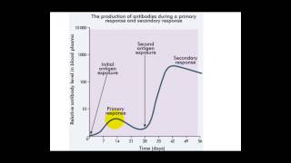 Immune Response Graph [upl. by Urania]