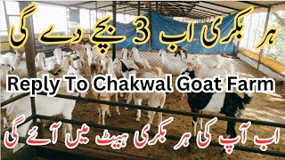 Reply to Chakwal Goat Farm  How To increase Number of Kids in Goats  ChakwalGoatfarm999 [upl. by Portwine]