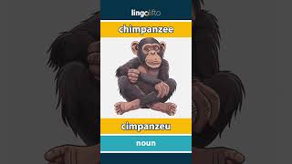 🇬🇧🇷🇴 chimpanzee  cimpanzeu  learn English  să învățăm engleza [upl. by Mailliw]