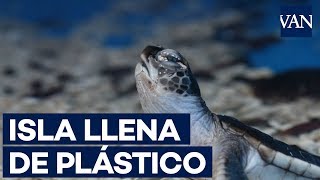 El Océano Pacífico sufre por la contaminación de plástico [upl. by Drummond]