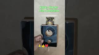 kohler diverter plate installation plumbing fitting installation work youtubeshorts [upl. by Acinorrev264]