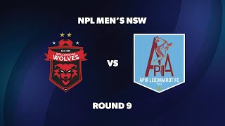 NPL Men’s NSW Round 9 Wollongong Wolves FC v APIA Leichhardt FC [upl. by Sikko]