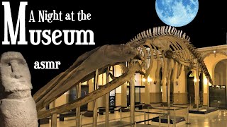 A Night at the Museum ASMR for sleep Paleontology Archaeology Zoology Anthropology Chile [upl. by Inahet]