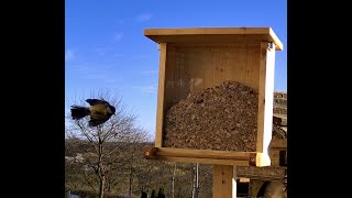 Vogelfutterhaus Bird feeder selber machen do it yourself [upl. by Kee557]