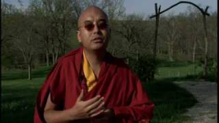 Yongey Mingyur Rinpoche on Meditation amp Panic Attacks [upl. by Elyssa]