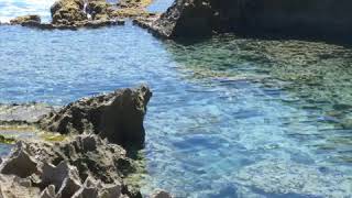 Pescaíto  Corvé de Loíza  Bomba Puerto Rico [upl. by Vorfeld]