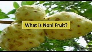 What is Noni What is Noni Juice  Information of Noni Noni Fruit health benefits and Uses [upl. by Bosch]