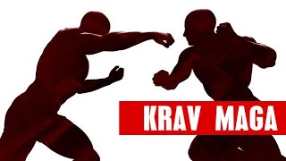 MASTERING KRAV MAGA [upl. by Yenohtna691]