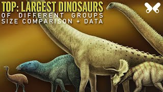 TOP Largest Dinosaurs Size Comparison and Data [upl. by Flan222]