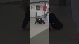 Little Chimps Jiujitsu Rolling [upl. by Ominoreg]