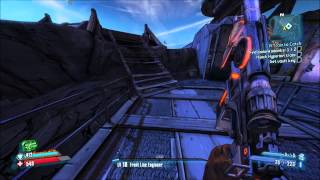 Borderlands 2  King of the Buzzard World  Top of the Buzzard Academy [upl. by Hallette]