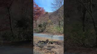 Pocono Mountains Scenic Train Ride Pennsylvania USA [upl. by Tombaugh749]