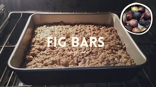 Fig Bars Homemade Recipe Tutorial  Healthy Home Cooking  From Garden to Table  Fast Tasty Meal [upl. by Kosak]