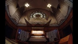 Daquin Noel National Shrine Pipe Organ by Adam Brakel [upl. by Yggep]