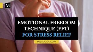 Julie Schiffman Discusses EFT for Stress Relief [upl. by Namdor213]