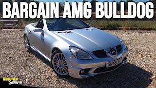 Mercedes SLK55 AMG Review  A surprisingly civilized brawler  BEARDS n CARS [upl. by Aric]