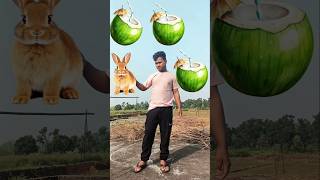 Rounding naryal Panirabbit 🐇 cat 🐈 elephant🐘 horse 🐎 animals neme VFX MAGIC videoshorts magic [upl. by Ivie]