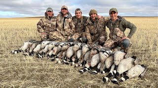 Saskatchewan Canada Goose Hunt [upl. by Gardener]