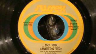 Dandelion Wine  Hot Dog [upl. by Damour]