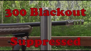 300 AAC Blackout doing what it does best [upl. by Sidwohl]