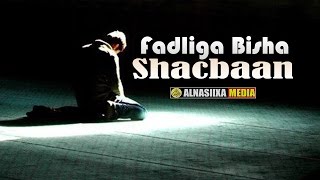 FADLIGA BISHA SHACBAAN ᴴᴰ┇Alnasiixa Media 🎥 [upl. by Longtin]