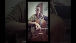 Vivaldi Sonata 6 4 movement cello classic classicalcello [upl. by Kimberlyn]