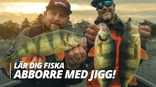 Lär dig fiska abborre med jigg  Sportfiskeprylarse [upl. by Sandberg591]