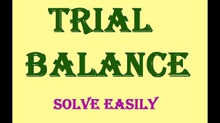 Preparing Trial Balance Or Adjusted Trial Balance [upl. by Lyrac159]