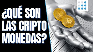 Los Mejores Mineros Para Minar Criptomonedas En 2024 Ordenador por Precio [upl. by Nikolia]