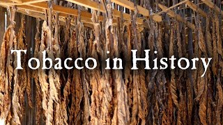 Growing Tobacco In Early America [upl. by Lorianne]