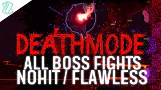 Terraria Calamity DEATHMODE  All Boss Fights NOHIT  FLAWLESS Calamity 124205 No damage taken [upl. by Dett]