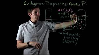 Osmotic Pressure Colligative Property  Chemistry with Dr G [upl. by Gaskin]