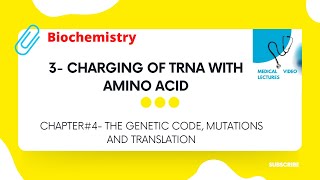 Charging of trna with amino acid  CHAPTER4 THE GENETIC CODE MUTATION AND TRANSLATION [upl. by Allekim]