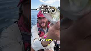 How to release Ladyfish kayak fishing humor [upl. by Kassab]