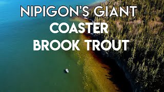 Nipigon Giant Brook Trout [upl. by Resarf921]