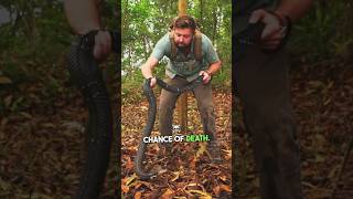 Deadly Snake Spits Venom At Me [upl. by Carmelle]