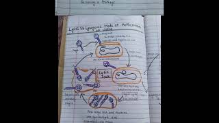 microbes topic 6 Lytic And Lysogenic Cycle  biology BSC exam [upl. by Nollat]