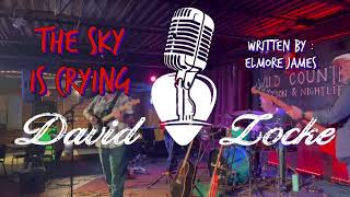 The Sky Is Crying covered by davidlockemusic livemusic [upl. by Roe430]