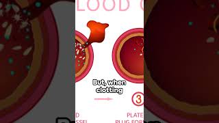 Decoding Clotting Understanding Your Blood Clotting Test Resultsquot [upl. by Wurst]