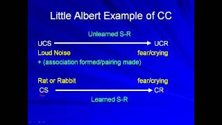 AP Psych Review Classical Conditioning An Overview [upl. by Kerwin]