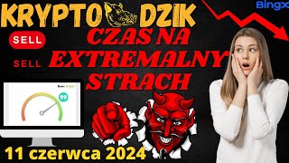 Dzika Analiza 11062024 NAJWYŻSZY CZAS POSTRASZYĆ BTCETHADACOMPLINKROSEZŁOTOSREBROROPA [upl. by Adieren]