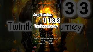 Angel number 1133 meaning in Twinflame connection angelnumbers twinflame hindi 1133 shorts [upl. by Dillie374]