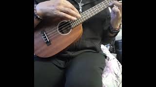 Gsus4 Csus4 ukulele chords ukulele chords [upl. by Rehtul214]