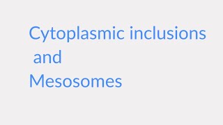 Cytoplasmic inclusions and Mesosomes  Microbiology [upl. by Brittany]